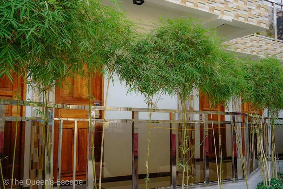 Mountain View Garden Inn 科隆 外观 照片